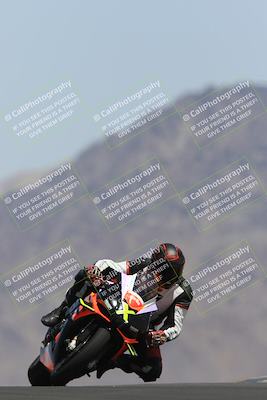 media/May-13-2023-SoCal Trackdays (Sat) [[8a473a8fd1]]/Turn 9 (11am)/